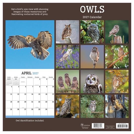 2027 Owls Wall Calendar
